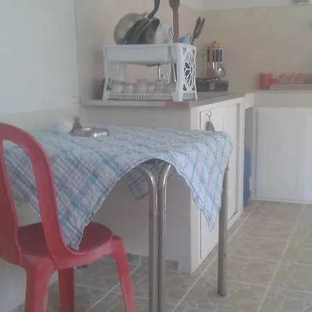 Ates Pensiune *